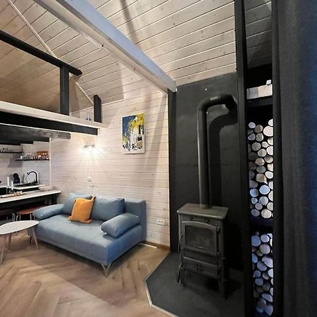 Mini Valley House 1 Sita Buzăului Dış mekan fotoğraf
