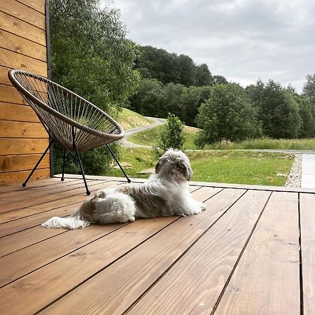 Mini Valley House 1 Sita Buzăului Dış mekan fotoğraf