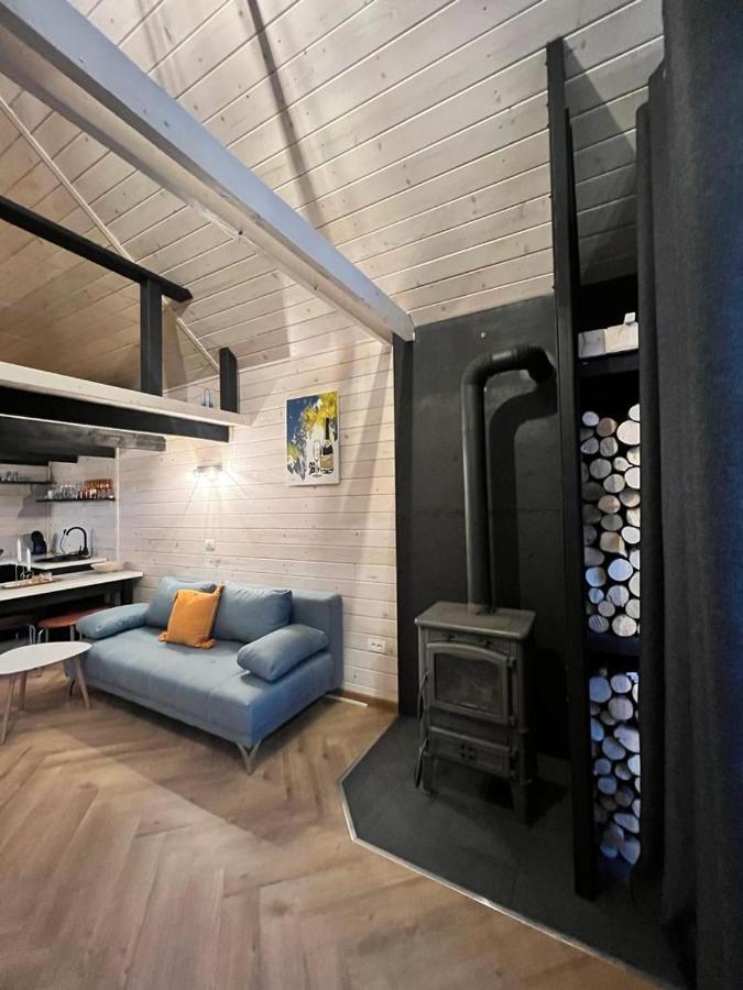 Mini Valley House 1 Sita Buzăului Dış mekan fotoğraf