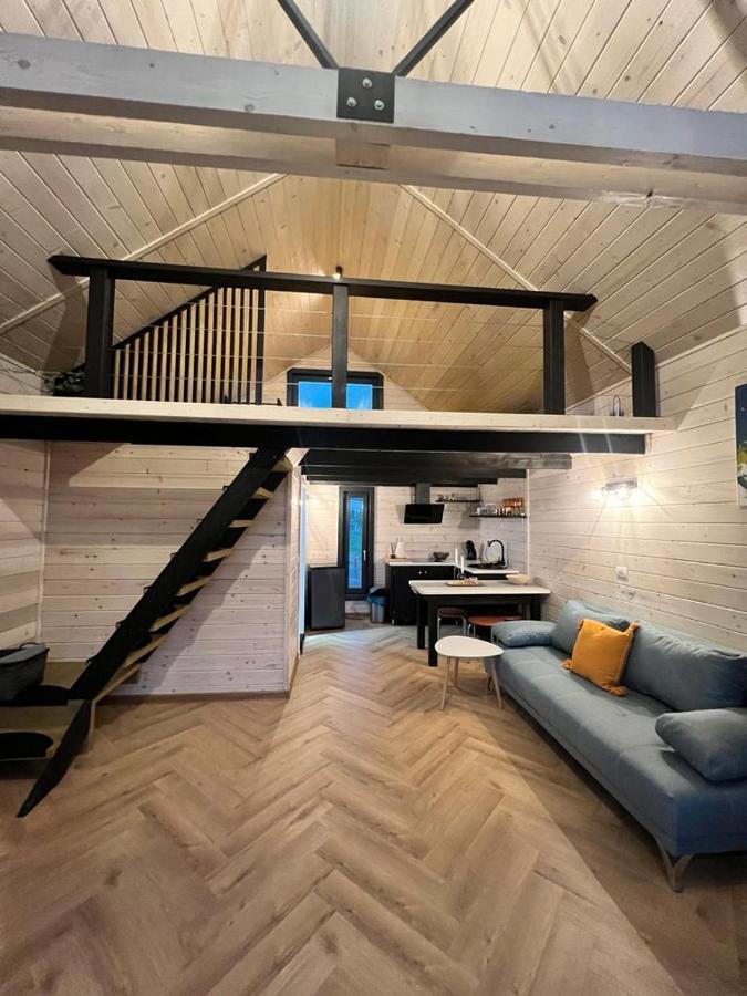 Mini Valley House 1 Sita Buzăului Dış mekan fotoğraf